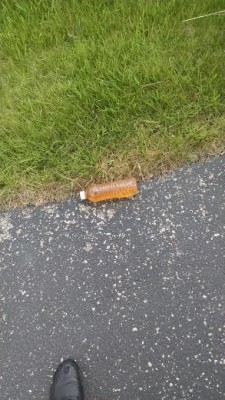 orange.jpg (86.56 KiB) Viewed 12232 times orange.jpg